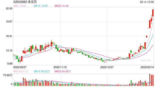 2月14日沪深两市涨停分析：固态电池概念股金龙羽实现6天5板